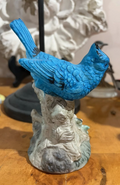 6a619c6ea15b5f2766344e95_blue-bird_1786579673467.png