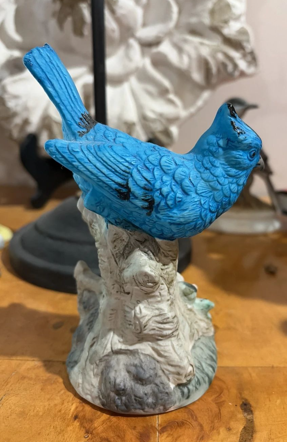 6a619c6ea15b5f2766344e95_blue-bird_1786579673467.png