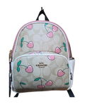 6a619c6ea15b5f2766344e95_coach-backpack_1789259491970.png
