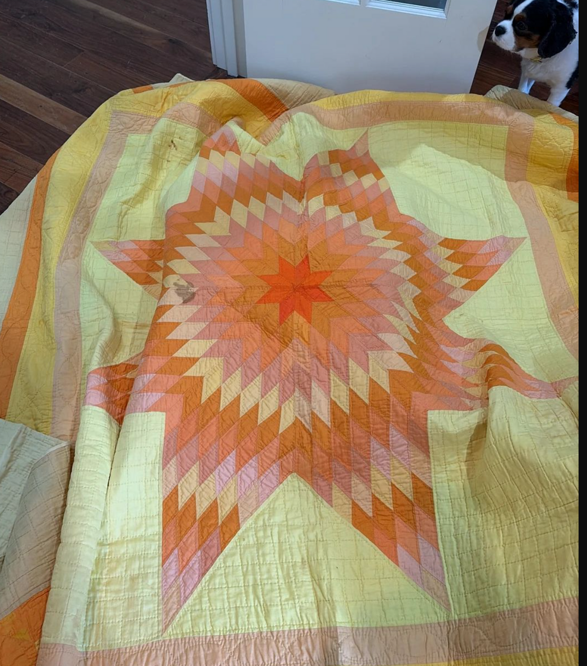 6a619c6ea15b5f2766344e95_fall-quilt_1786577701984.png