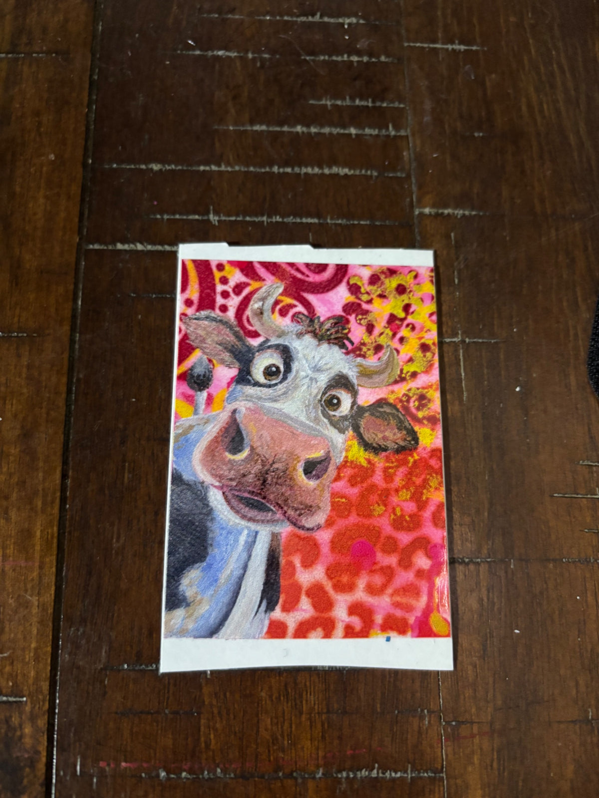 6a619c6ea15b5f2766344e95_img-4938_1786589414360.jpeg