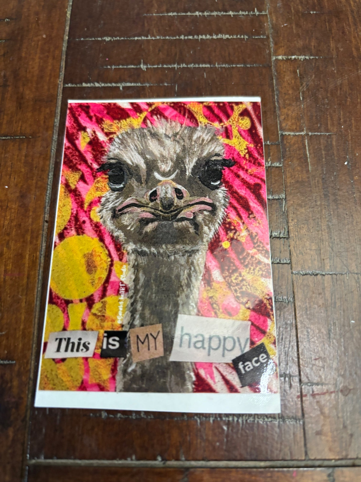 6a619c6ea15b5f2766344e95_img-4948_1786591925164.jpeg